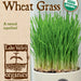 Organic Wheat Grass