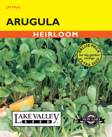 Arugula Roquette (Value Pack)