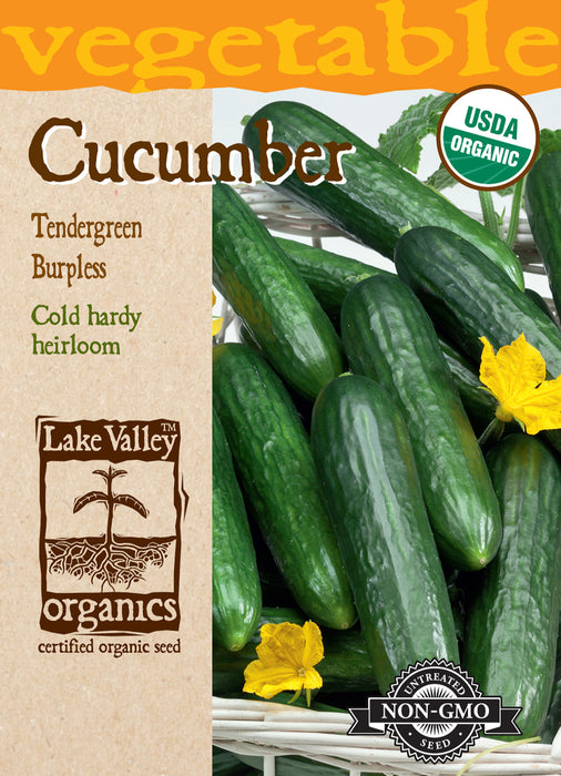 Organic Tendergreen Burpless Cucumber