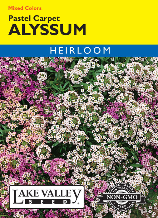 Pastel Carpet Alyssum