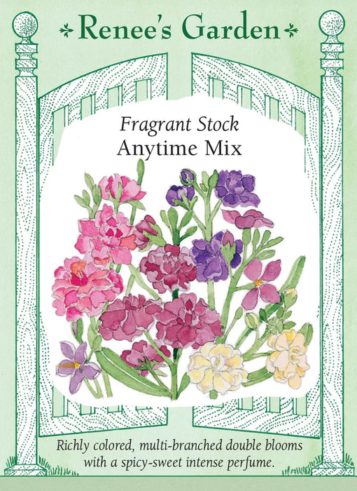 Stock Fragrant 'Anytime Mix'