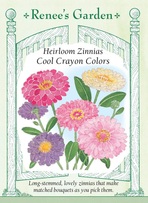 Zinnia Cool Crayon Colors
