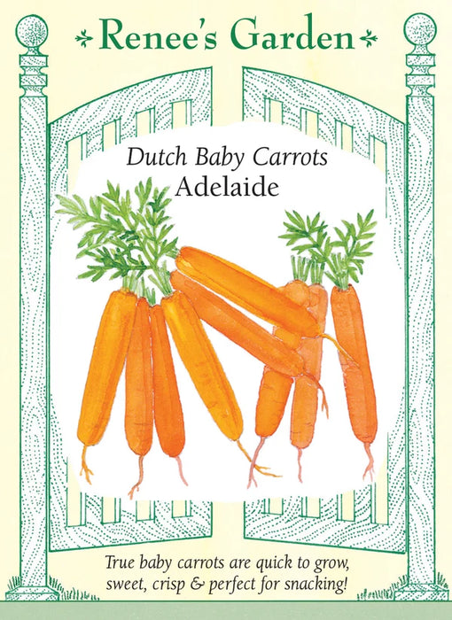Dutch Baby Carrot 'Adelaide'