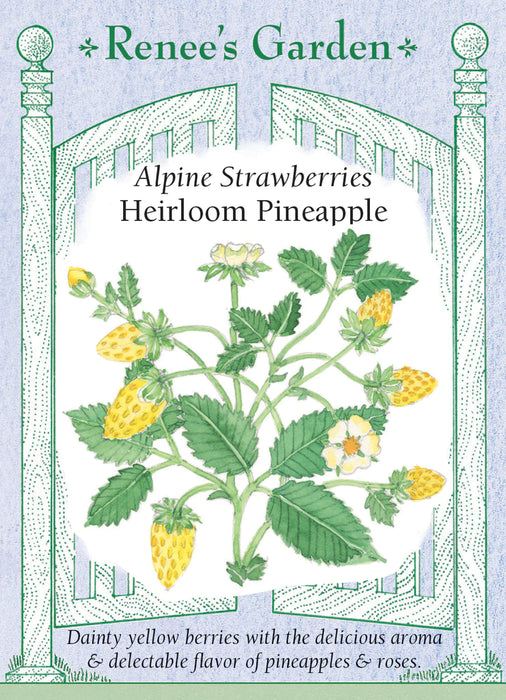 Alpine Pineapple Strawberry Seed (Pkt)