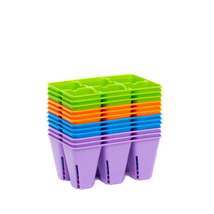 BSF 6-Cell Tray Insert