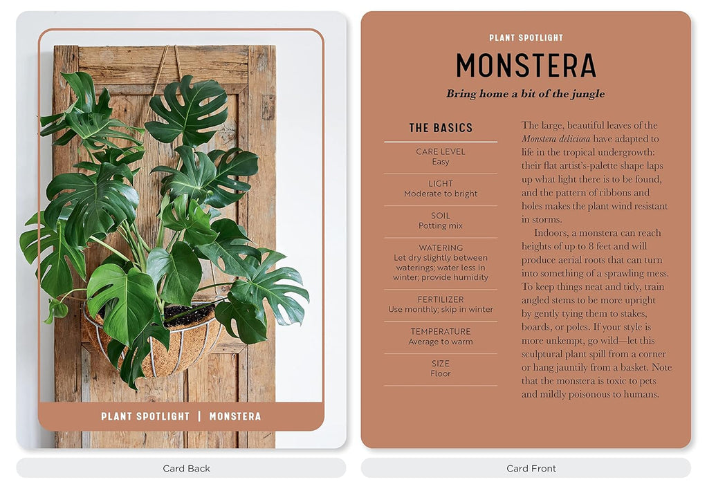 The Houseplant Card Deck, 50 Cards
