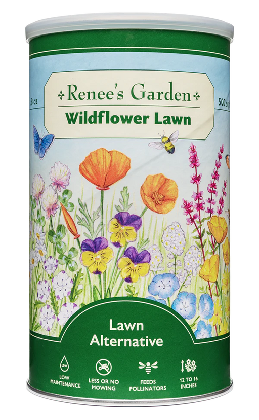scatter garden seeds Scatter Garden Wildflower Lawn (Can) — Rohrer Seeds