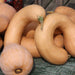 Neck Pumpkin (1 Lb)