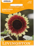 Ruby Eclipse Sunflower