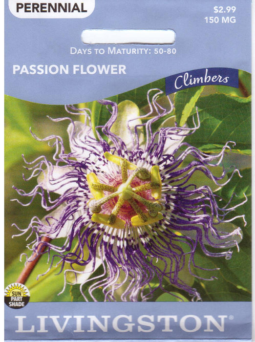 Passion Flower Caerulea