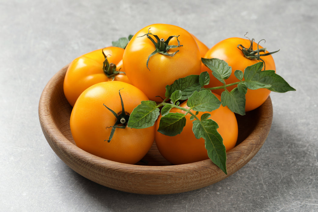Chef's Choice Orange Hybrid Tomato Seeds