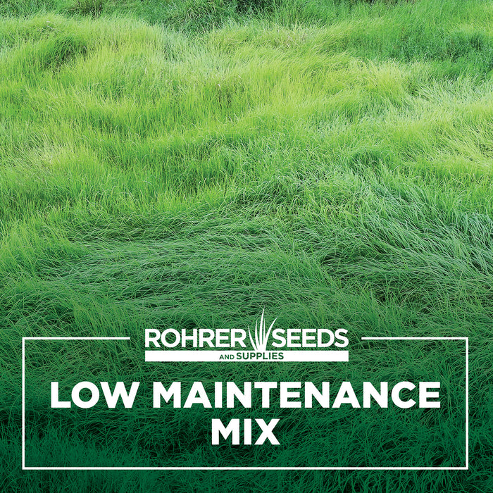 low water grass seed Low Maintenance Grass Seed