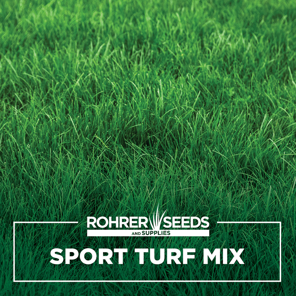 Sport Turf Rye Grass Seed Blend A Balanced Blend of Fine Bladed Turf Type Perennial Ryegrass That Will Grow Fast and Fill In Beautifully Across