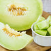 Earli-dew Honeydew Hybrid Melon Seeds