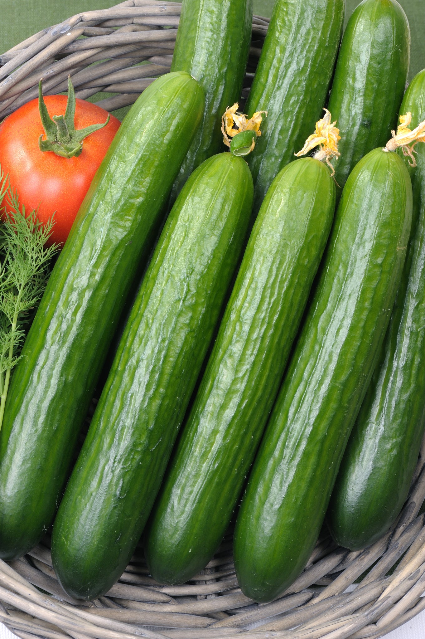 Produce, LFF Organic Mini Cucumbers, 1 lb bag