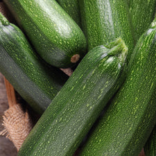 その他 KOOKRRR zhengyuxxx SEEDSEED JFC Sesame Seeds Black Roasted - 8 Oz - pavilions