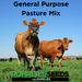 General Purpose Pasture Mixture - A Blend of Tekapo Orchardgrass, Profit Orchardgrass, Duo Festulolium, and Power Tetraploid Perennial Ryegrass Seed. Excellent for Hay and Grazing