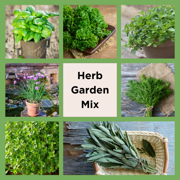 Herb Garden Mix Seeds