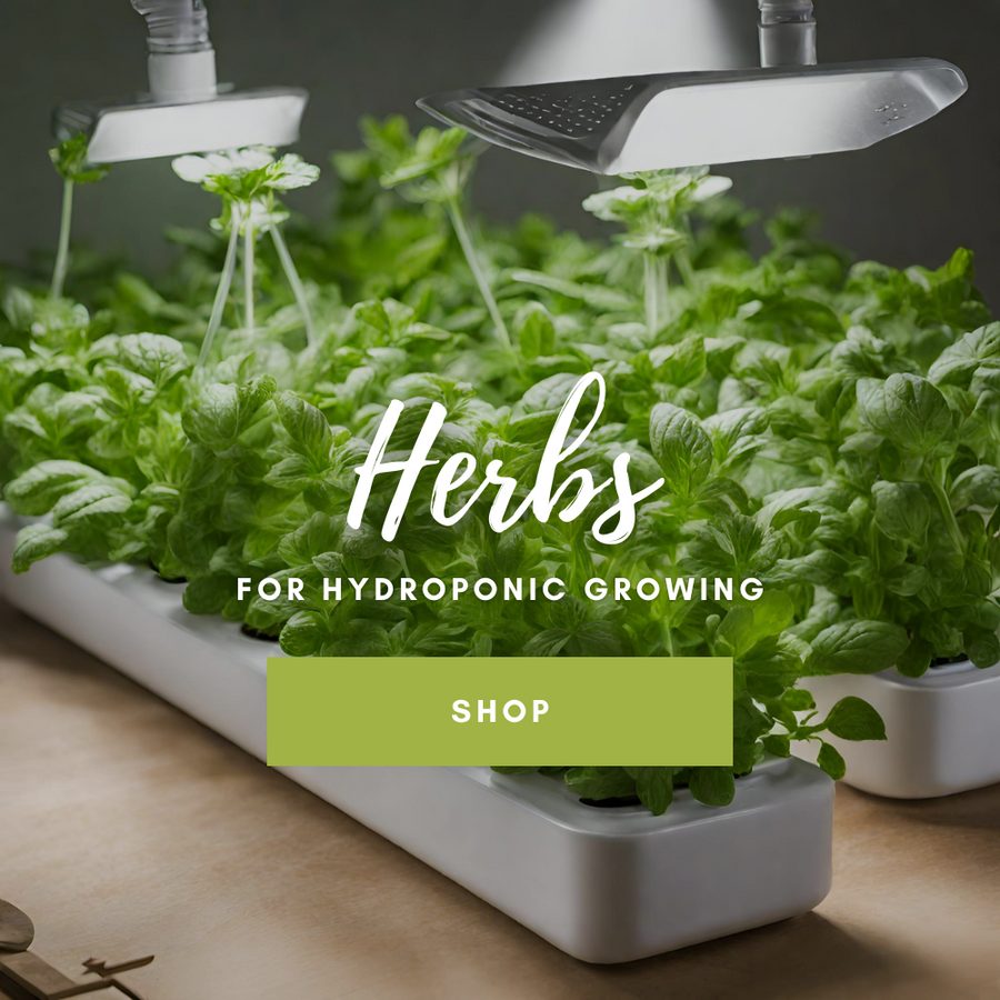 Free Seed Catalog — Rohrer Seeds Catalog