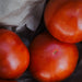 Jet Star Hybrid Tomato