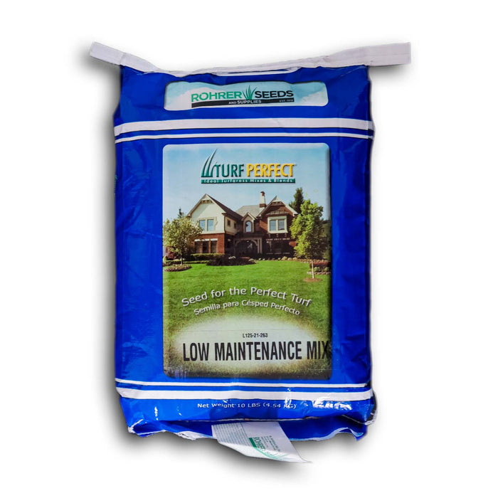 perennial grass seed lowes Low Maintenance Grass Seed — Rohrer Seeds
