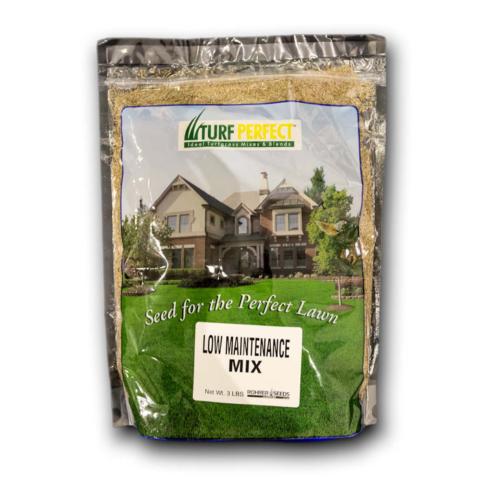 Low Maintenance Grass Seed