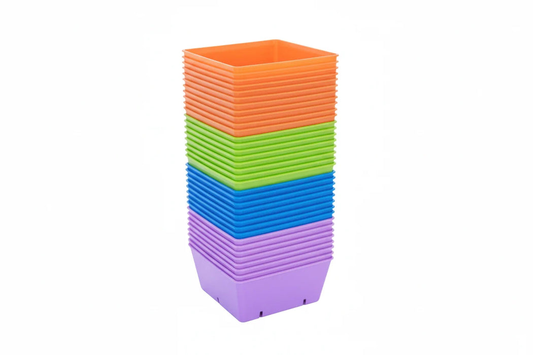 BSF 5"x5" Tray Insert