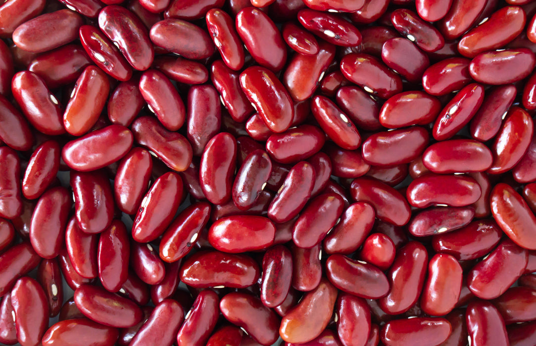 planting red beans from seed Red Kidney Bean Seeds — Rohrer Seeds