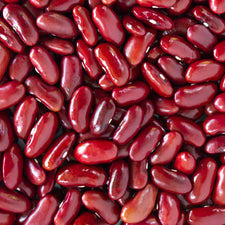 red beans seeds for planting Red Kidney Bean Seeds Red Kidney Beans (1 Lb)
