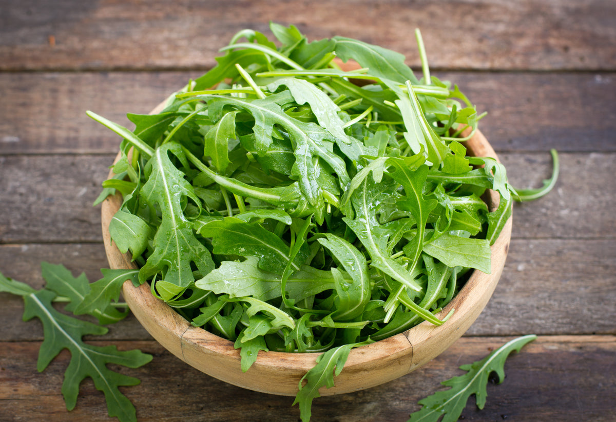 Arugula - Roquette Seeds — Rohrer Seeds