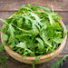 Freshly harvested Roquette Arugula in a wooden bowl on a dark wood background. 