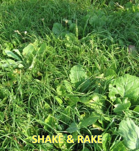 Tecomate Shake & Rake (4 lb)