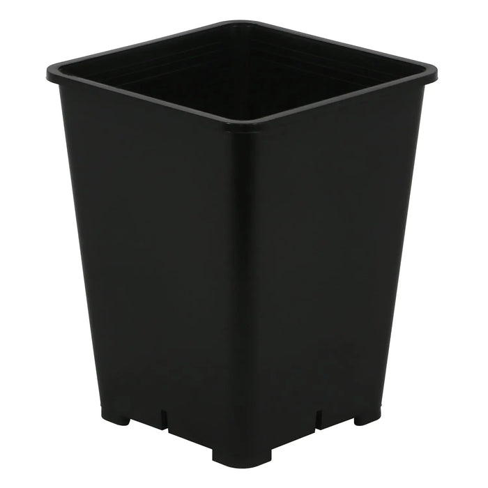 BSF Black Nursery Pot