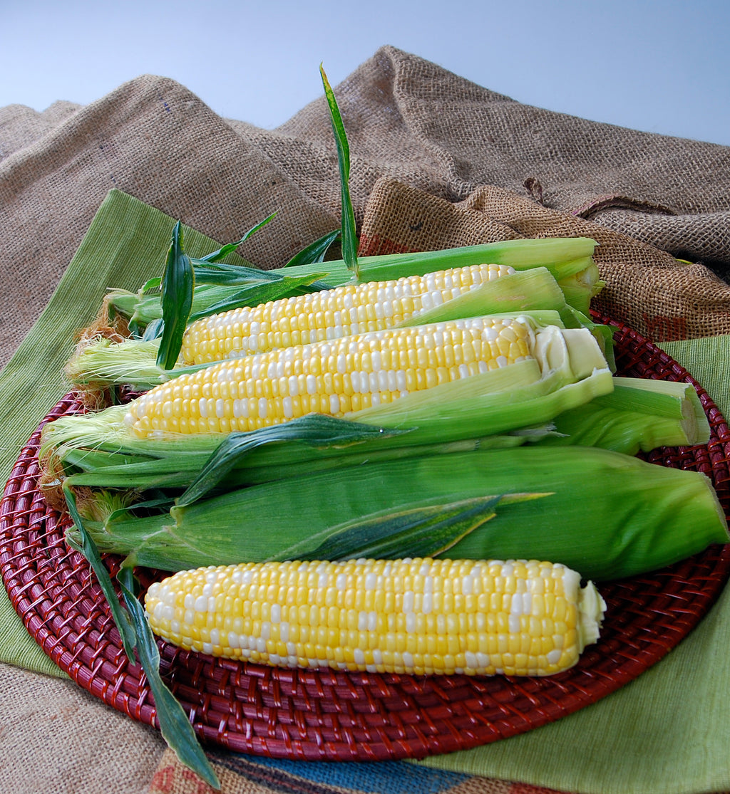 Bi-Color Sweet Corn Seeds — Rohrer Seeds