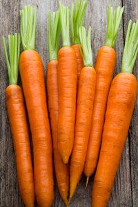 Tendersweet Carrot Seeds