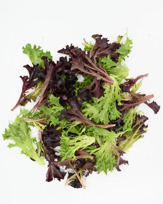 Frilly & Crispy Lettuce Mix