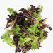 Frilly & Crispy Lettuce Mix
