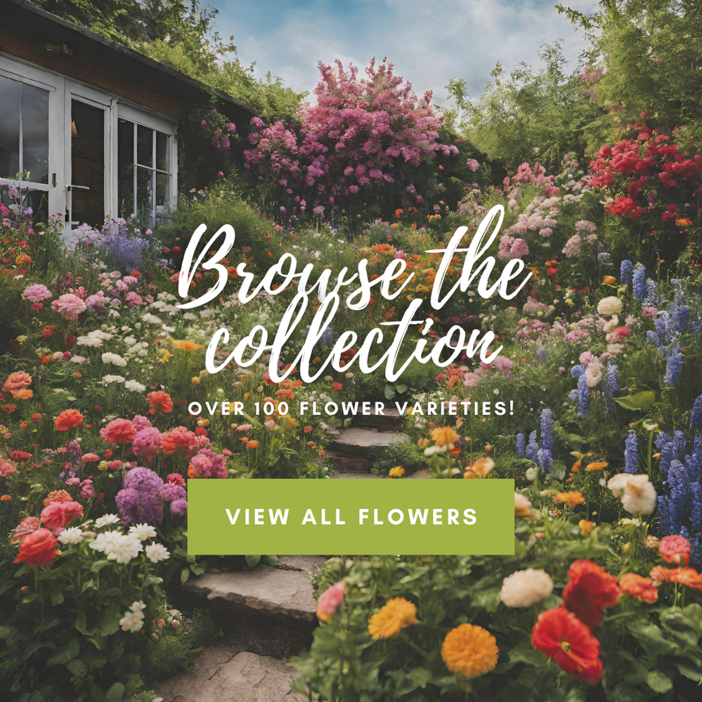Free Seed Catalog — Rohrer Seeds Catalog