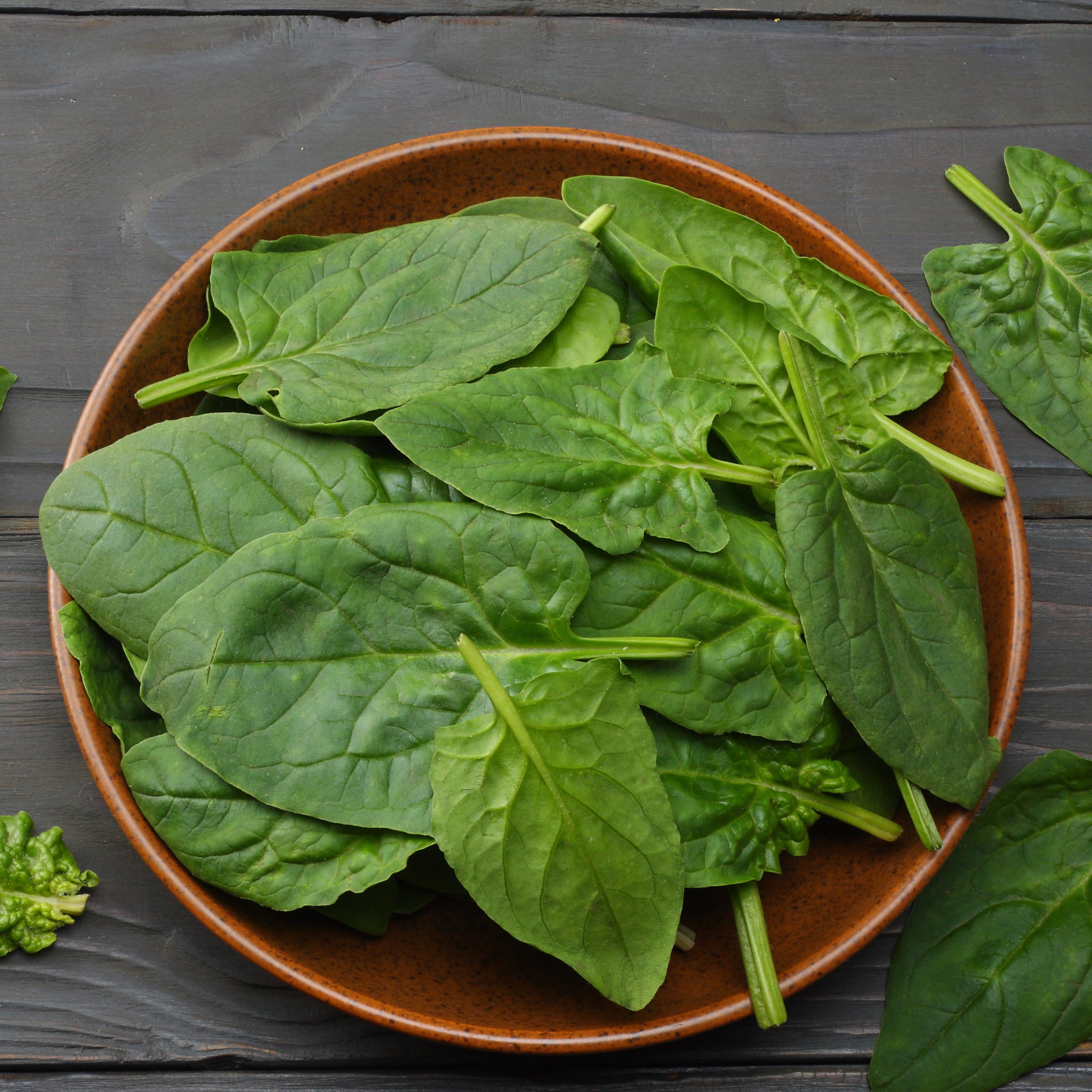 Winter Giant Spinach?_pos=2&_sid=9b4e97094&_ss=r&variant=29383021494324
