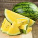 Yellow Baby Doll Watermelon Seeds