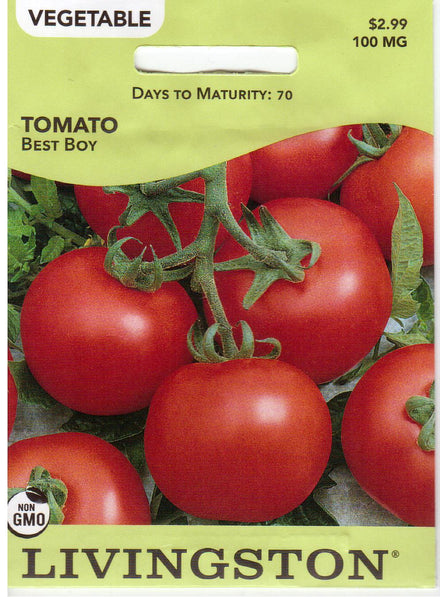 Best Boy Hybrid Tomato — Rohrer Seeds