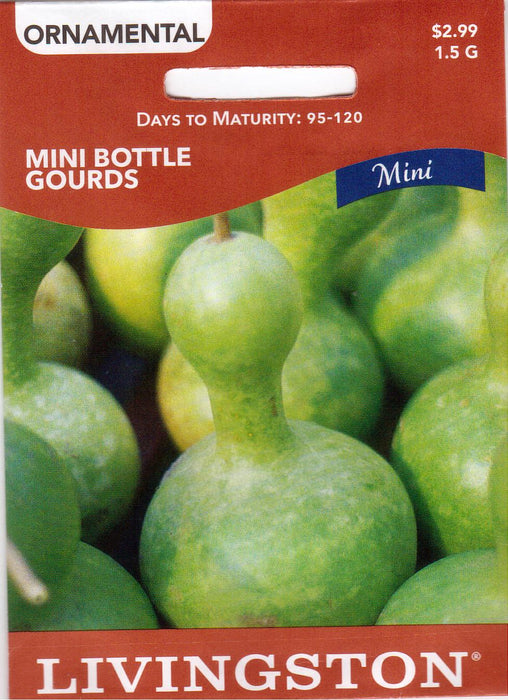 Mini Bottle Gourd Seed (Pkt)