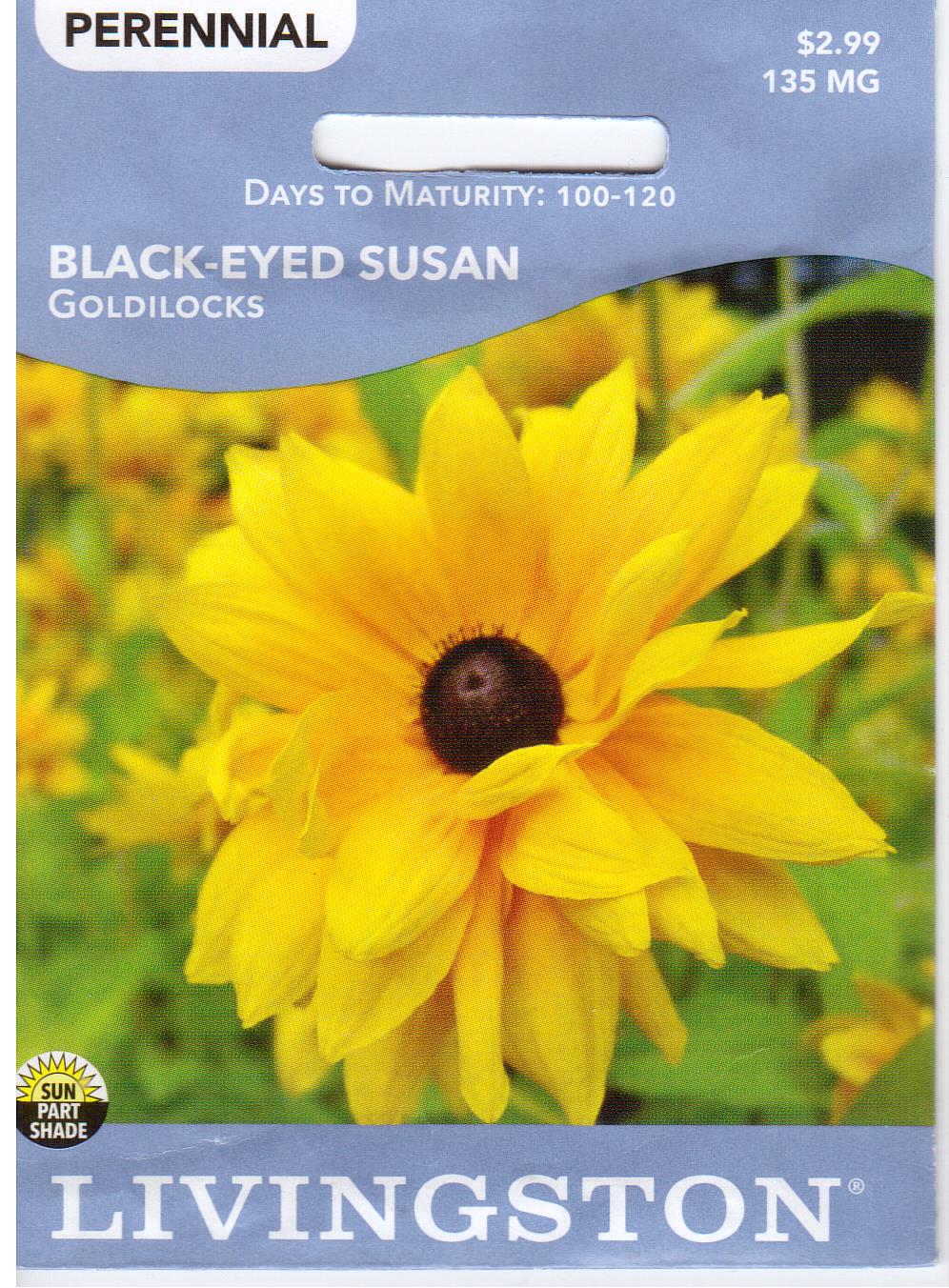 Rudbeckia