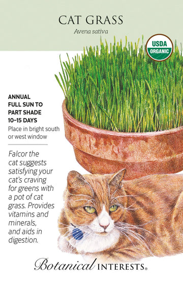 Organic Cat Grass (Large Pkt/45 Grams)