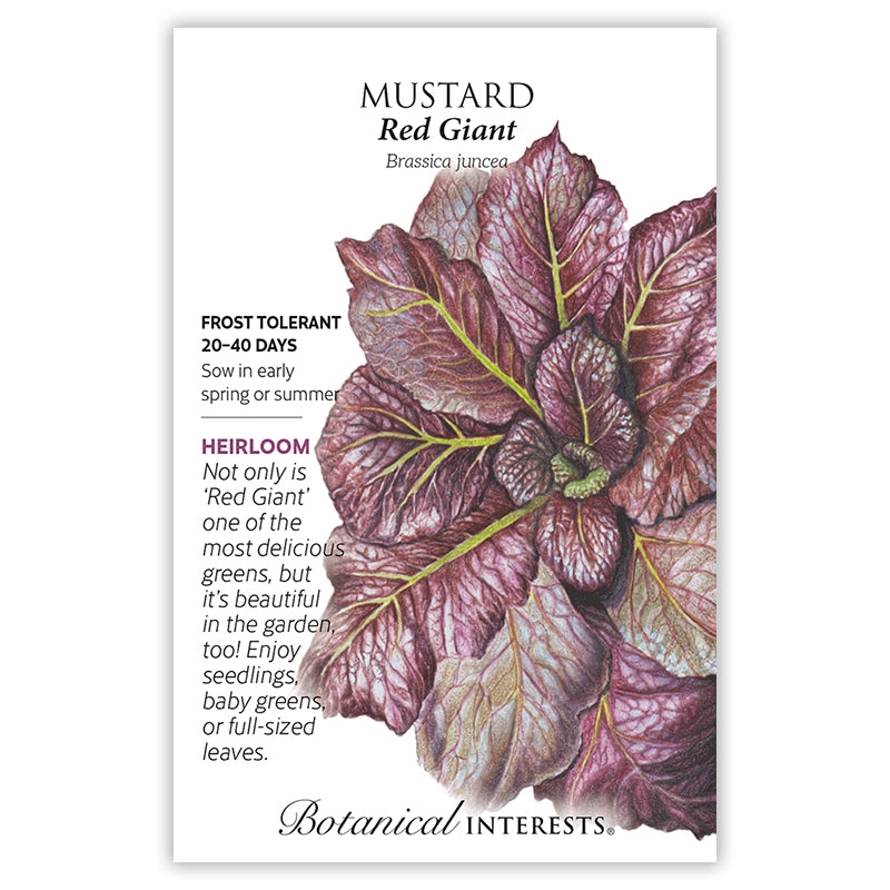 Giant Red Mustard — Rohrer Seeds