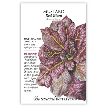 Giant Red Mustard