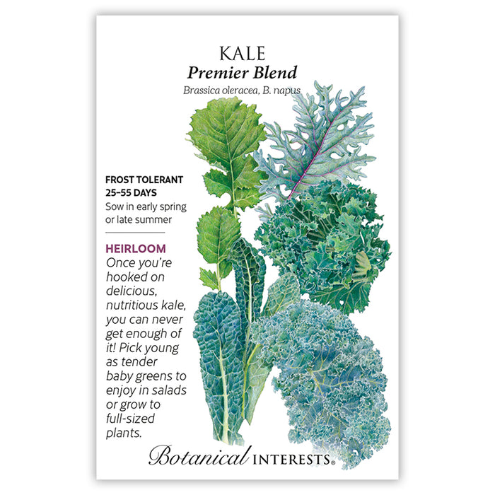Premier Blend Kale