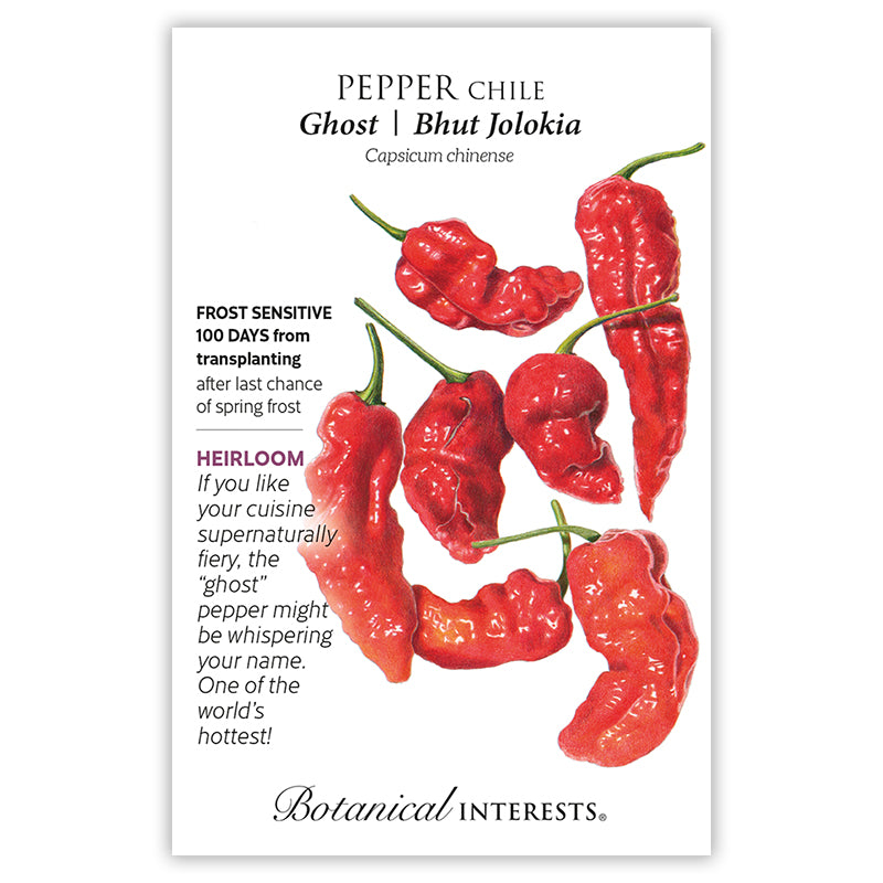 Ghost Bhut Jolokia Chile Pepper — Rohrer Seeds