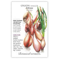 Zebrune Shallot Onion (Pkt)