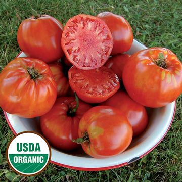 Tomato (Slicer): Wood's Famous Brimmer Tomato (20 or 100 seeds